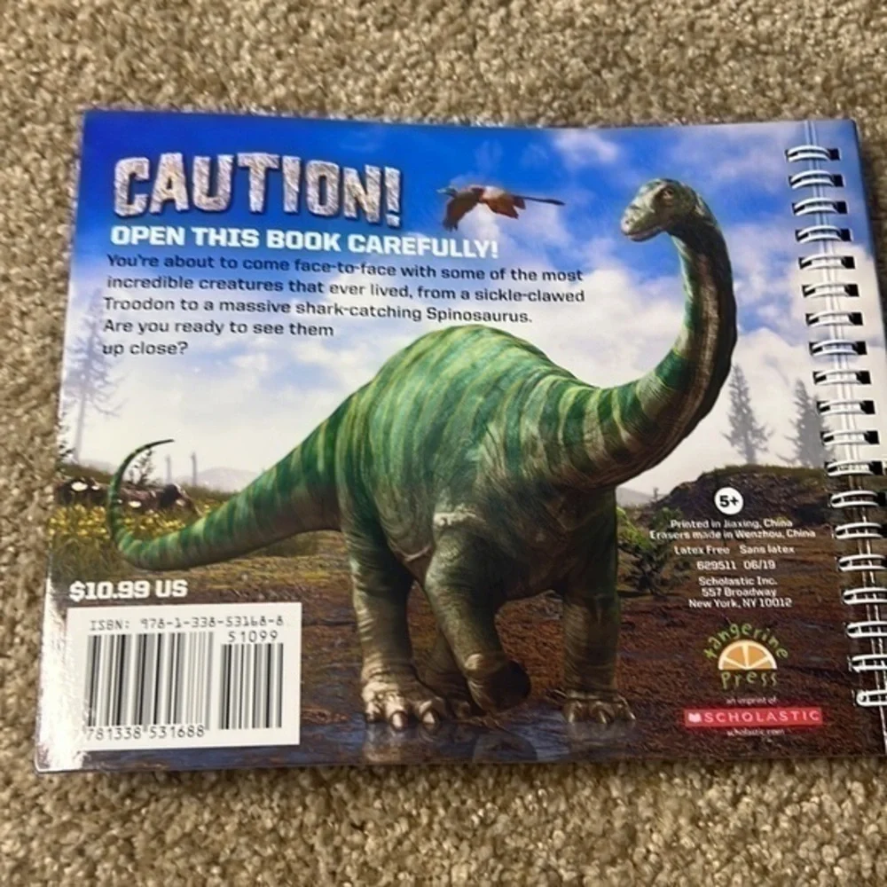 Set of 4 Dinosaur books